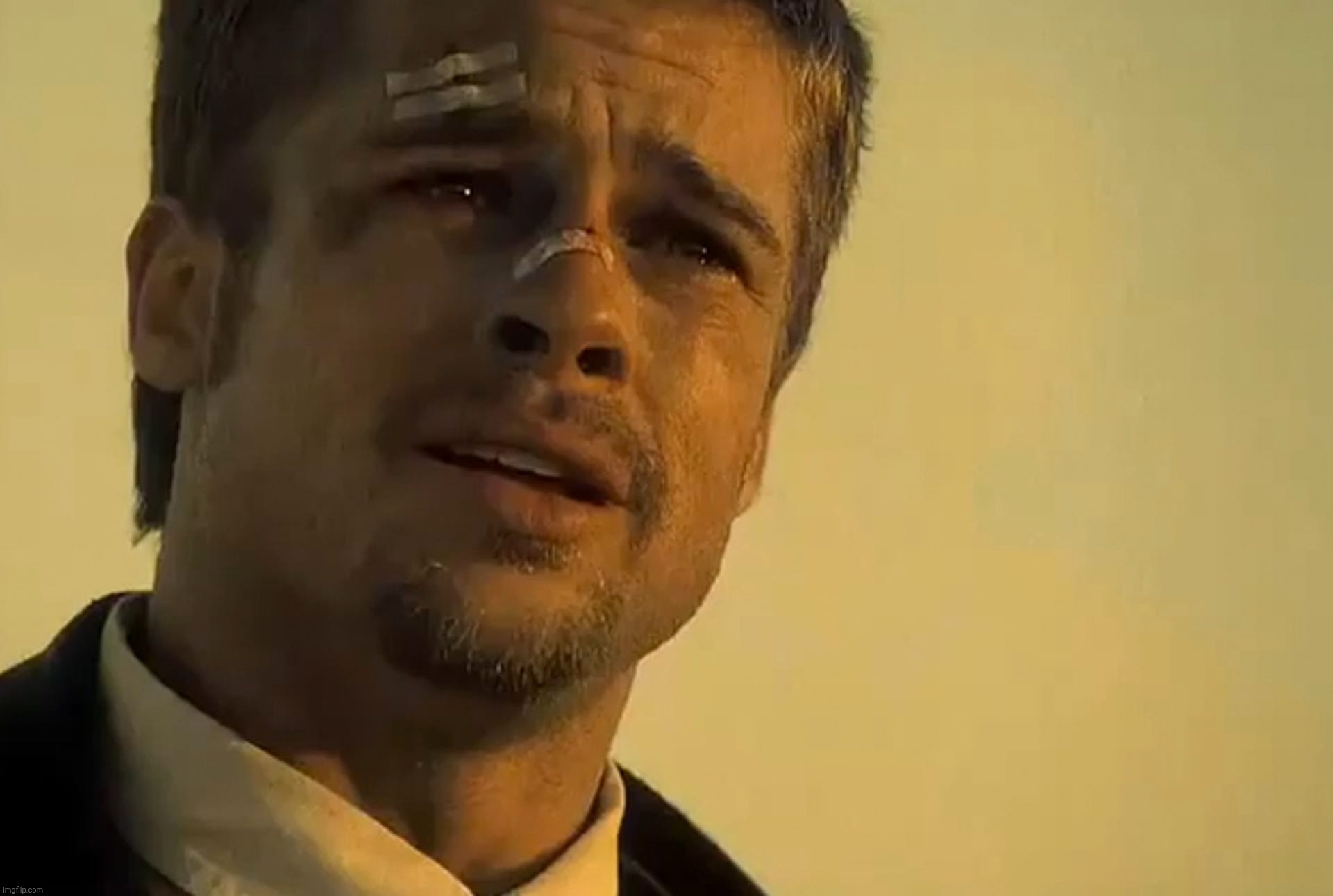 Brad Pitt What's in the box | image tagged in what's in the box,se7en,brad pitt | made w/ Imgflip meme maker