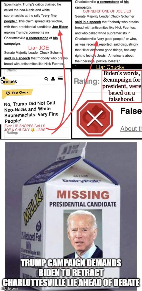 Snopes lied and Biden lied too | image tagged in fact check,lies,sad joe biden | made w/ Imgflip meme maker