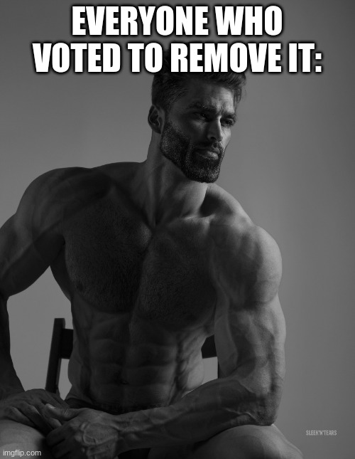 Giga Chad | EVERYONE WHO VOTED TO REMOVE IT: | image tagged in giga chad | made w/ Imgflip meme maker