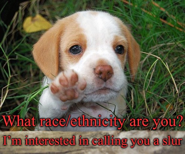 Excuse me | What race/ethnicity are you? I’m interested in calling you a slur | image tagged in dog puppy bye | made w/ Imgflip meme maker