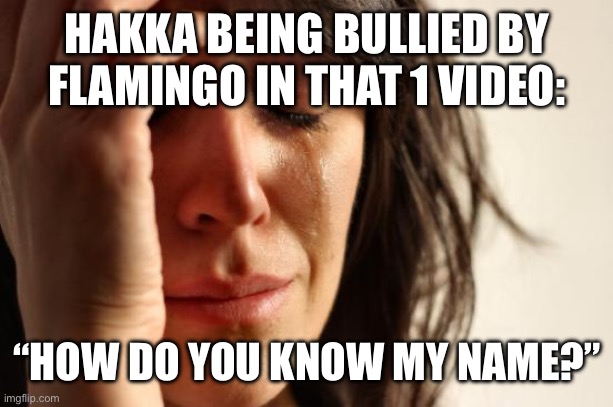 HOW?! | HAKKA BEING BULLIED BY FLAMINGO IN THAT 1 VIDEO:; “HOW DO YOU KNOW MY NAME?” | image tagged in memes,first world problems | made w/ Imgflip meme maker