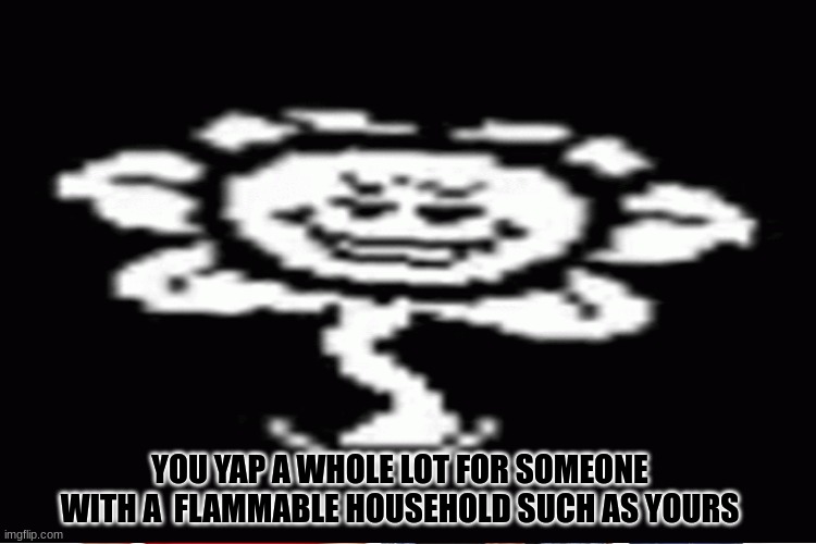 Smug lil guy | YOU YAP A WHOLE LOT FOR SOMEONE WITH A  FLAMMABLE HOUSEHOLD SUCH AS YOURS | image tagged in undertale,flowey | made w/ Imgflip meme maker