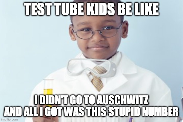 Test tube kids be like | TEST TUBE KIDS BE LIKE; I DIDN'T GO TO AUSCHWITZ AND ALL I GOT WAS THIS STUPID NUMBER | image tagged in test tube kids,genetic engineering,genetics,genetics humor,science,test tube humor | made w/ Imgflip meme maker