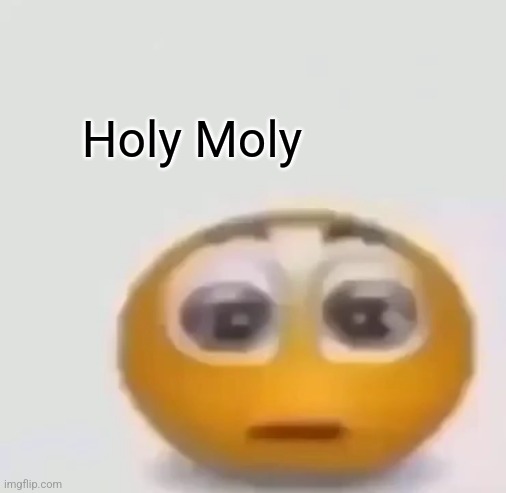 holy moly emoji stare | Holy Moly | image tagged in holy moly emoji stare | made w/ Imgflip meme maker