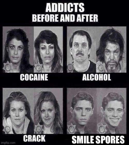 Addicts before and after | SMILE SPORES | image tagged in addicts before and after | made w/ Imgflip meme maker