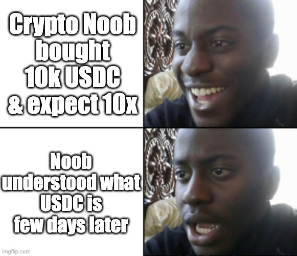 Crypto Noob bought USDC | Crypto Noob
bought 10k USDC & expect 10x; Noob understood what USDC is few days later | image tagged in happy / shock | made w/ Imgflip meme maker