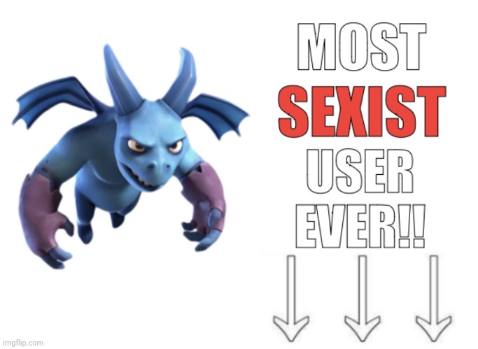 most sexist user ever!! | image tagged in most sexist user ever | made w/ Imgflip meme maker