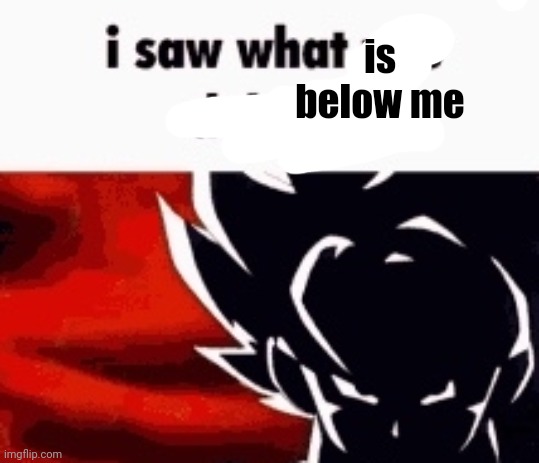 i saw what you deleted | is below me | image tagged in i saw what you deleted | made w/ Imgflip meme maker