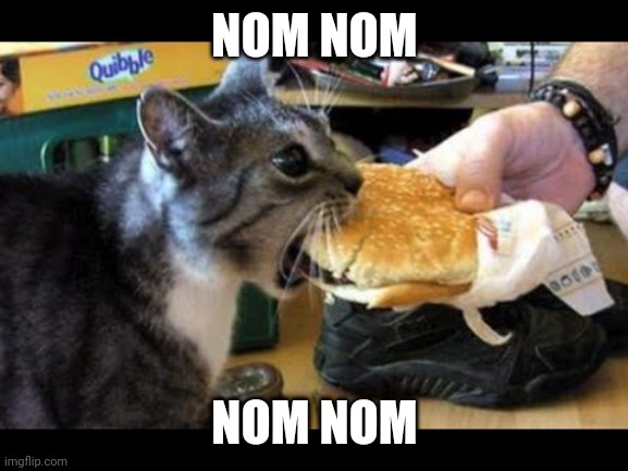 Burger Cat | NOM NOM NOM NOM | image tagged in burger cat | made w/ Imgflip meme maker