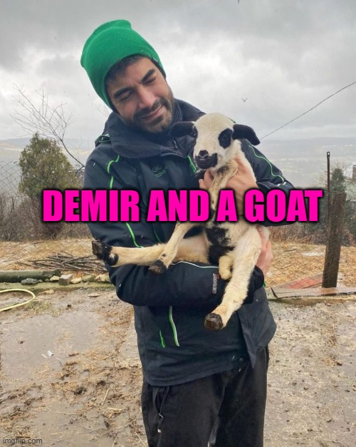 DEMIR AND A GOAT | made w/ Imgflip meme maker