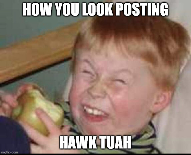 How You Look | HOW YOU LOOK POSTING; HAWK TUAH | image tagged in mock laugh kid | made w/ Imgflip meme maker