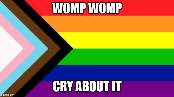 Send this to a radically straight monster who thinks gay people should burn in hell. | WOMP WOMP; CRY ABOUT IT | image tagged in gay flag | made w/ Imgflip meme maker