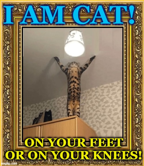 His Royal Feline Majesty | I AM CAT! ON YOUR FEET OR ON YOUR KNEES! | image tagged in vince vance,cats,meow,funny cat memes,i love cats,feline | made w/ Imgflip meme maker