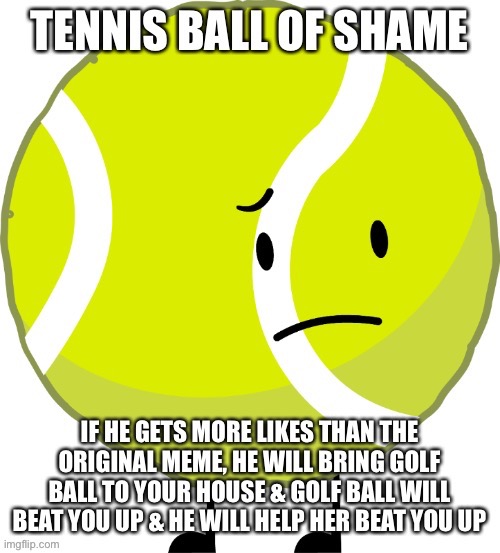 Tennis Ball of shame | image tagged in tennis ball of shame | made w/ Imgflip meme maker