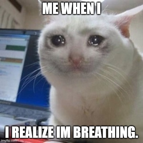 me when i | ME WHEN I; I REALIZE IM BREATHING. | image tagged in crying cat | made w/ Imgflip meme maker