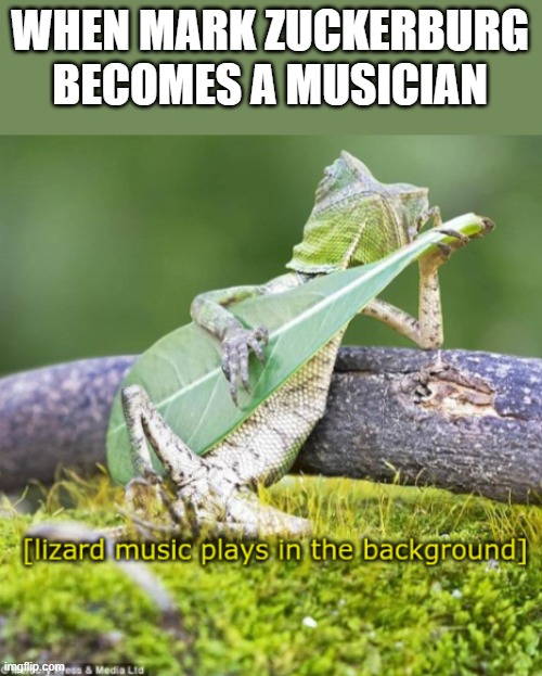 mark zuckerburg | WHEN MARK ZUCKERBURG BECOMES A MUSICIAN | image tagged in lizard,mark zuckerberg,musician,music,musicians,lizards | made w/ Imgflip meme maker