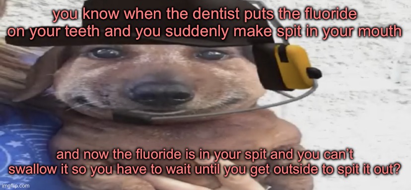 chucklenuts | you know when the dentist puts the fluoride on your teeth and you suddenly make spit in your mouth; and now the fluoride is in your spit and you can’t swallow it so you have to wait until you get outside to spit it out? | image tagged in chucklenuts | made w/ Imgflip meme maker