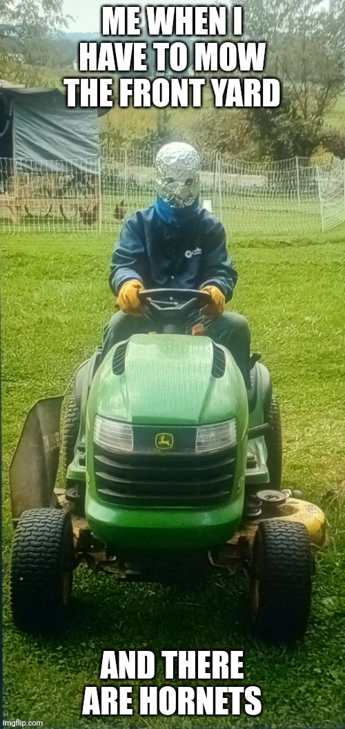 Just another day on the mower... | image tagged in lawnmower,tinfoil hat,wasp,memes,funny,overkill | made w/ Imgflip meme maker