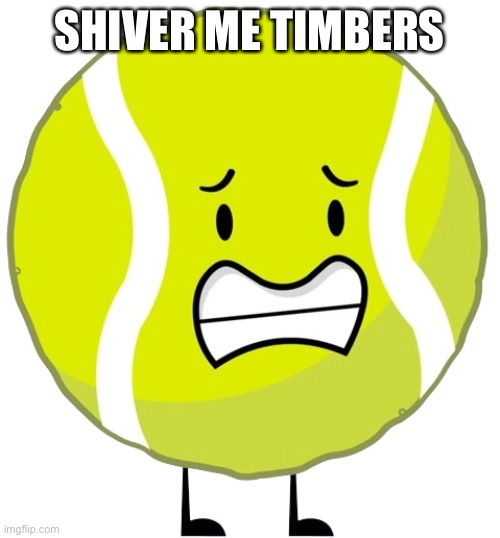 SHIVER ME TIMBERS | made w/ Imgflip meme maker