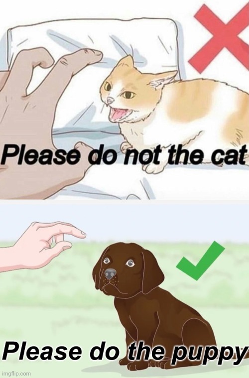 WHAT? WHAT DO THESE MEAN? | image tagged in please do not the cat,please do the puppy,you had one job,funny,memes,design fails | made w/ Imgflip meme maker