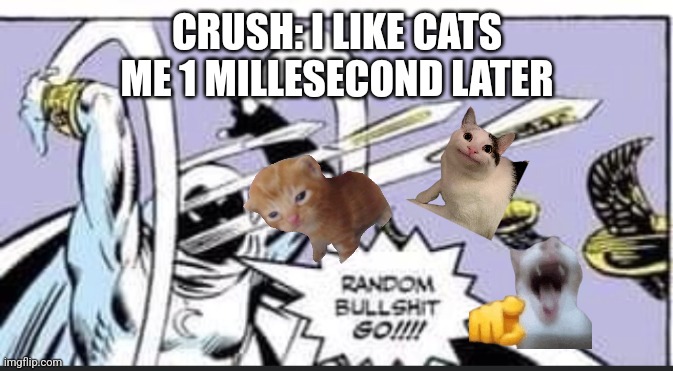 For REAL | CRUSH: I LIKE CATS
ME 1 MILLESECOND LATER | image tagged in random bullshit go | made w/ Imgflip meme maker