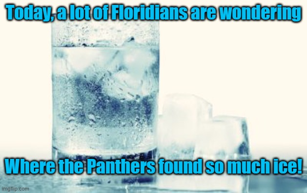 Florida Panthers Need Ice | Today, a lot of Floridians are wondering; Where the Panthers found so much ice! | image tagged in drink,ice drink | made w/ Imgflip meme maker