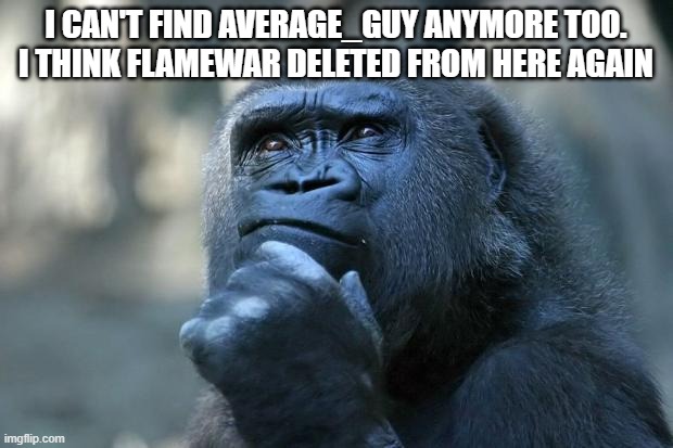 Deep Thoughts | I CAN'T FIND AVERAGE_GUY ANYMORE TOO. I THINK FLAMEWAR DELETED FROM HERE AGAIN | image tagged in deep thoughts | made w/ Imgflip meme maker