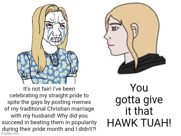 Tradwife wojak has nothing on HAWK TUAH girl | image tagged in hawk tuah,pride month,wojak,soyboy vs yes chad | made w/ Imgflip meme maker