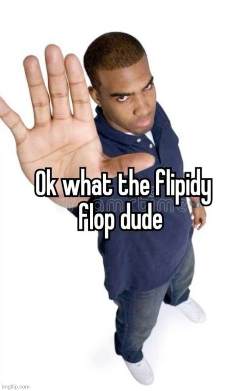 okay what the flipidy flop dude | image tagged in okay what the flipidy flop dude | made w/ Imgflip meme maker