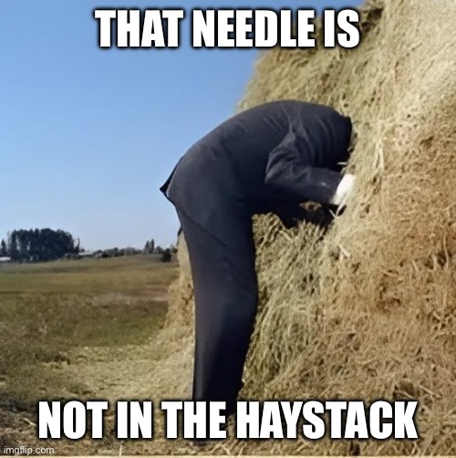 Finding needle in haystack | THAT NEEDLE IS NOT IN THE HAYSTACK | image tagged in finding needle in haystack | made w/ Imgflip meme maker