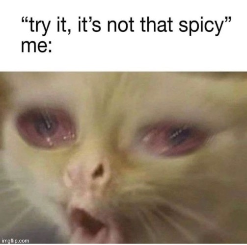 I don’t like anything spicy | image tagged in funny,meme,food,spicy,not for me | made w/ Imgflip meme maker