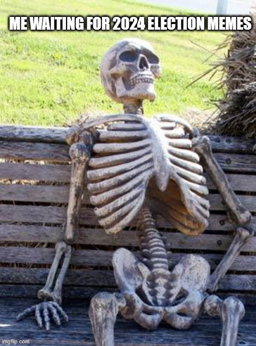 Waiting Skeleton Meme | ME WAITING FOR 2024 ELECTION MEMES | image tagged in memes,waiting skeleton | made w/ Imgflip meme maker
