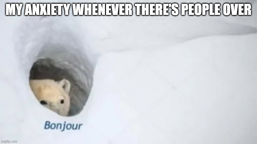 anxietyyyy | MY ANXIETY WHENEVER THERE'S PEOPLE OVER | image tagged in polar bear,anxiety | made w/ Imgflip meme maker