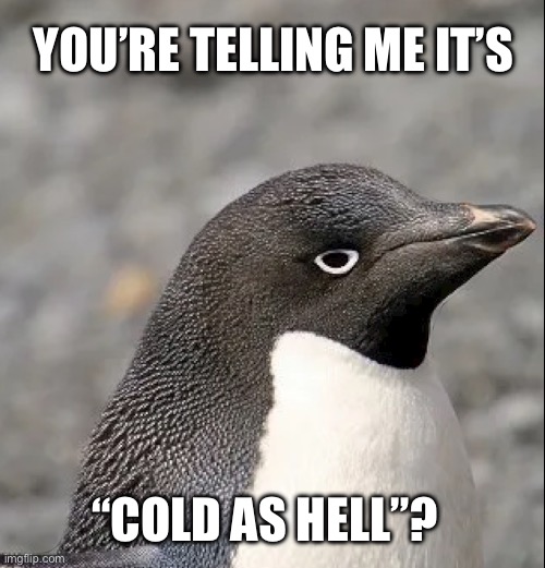 accidental boomer meme but we’re still alive | YOU’RE TELLING ME IT’S; “COLD AS HELL”? | image tagged in cold,as,hell,likethatpenguin | made w/ Imgflip meme maker