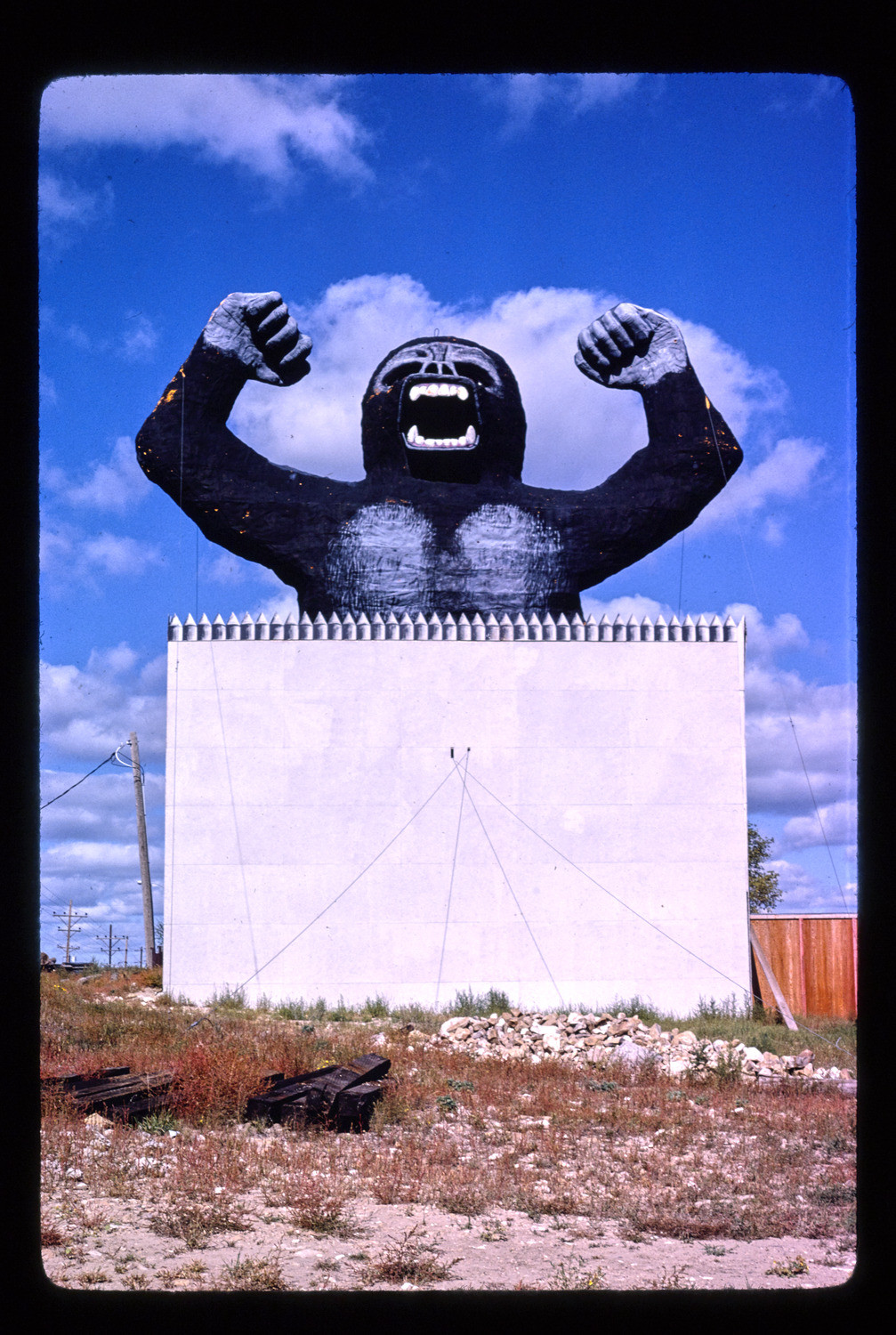 Gorilla Billboard Blank Meme Template
