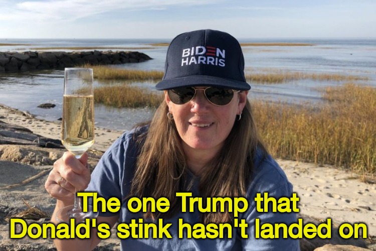 The Survivor | The one Trump that Donald's stink hasn't landed on | image tagged in mary trump biden harris | made w/ Imgflip meme maker