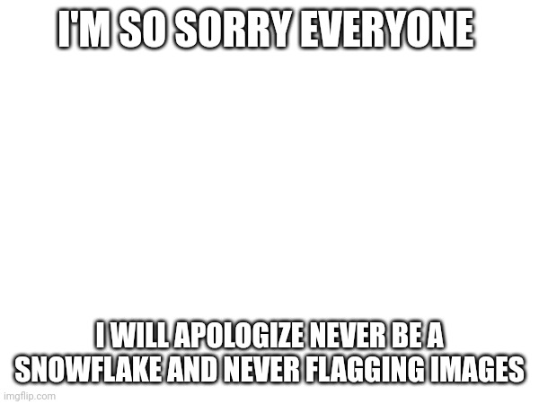 I'm sorry MSMG | I'M SO SORRY EVERYONE; I WILL APOLOGIZE NEVER BE A SNOWFLAKE AND NEVER FLAGGING IMAGES | made w/ Imgflip meme maker