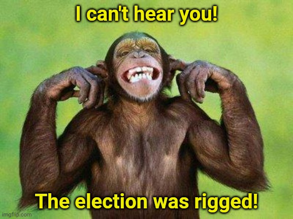 MAGAts not listening | I can't hear you! The election was rigged! | image tagged in not listening chimp | made w/ Imgflip meme maker