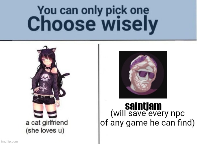 choose | saintjam; (will save every npc of any game he can find) | image tagged in choose wisely,choose,youtuber,npc,saintjam,save | made w/ Imgflip meme maker