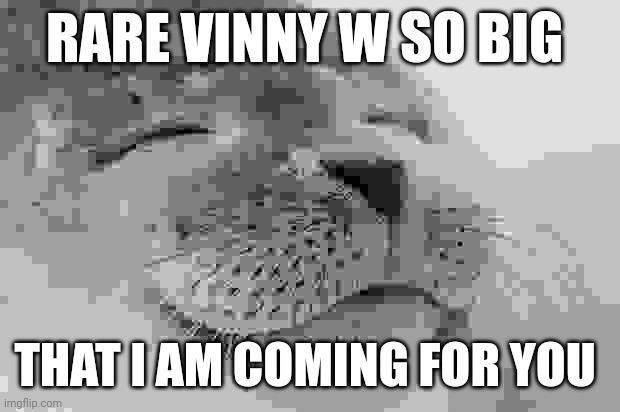 rare vinny w | RARE VINNY W SO BIG; THAT I AM COMING FOR YOU | image tagged in memes,satisfied seal | made w/ Imgflip meme maker