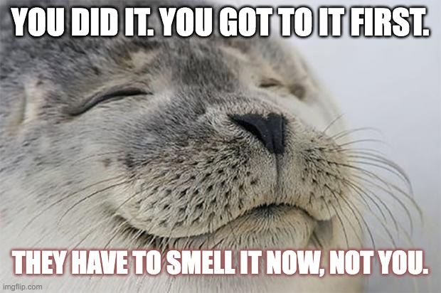 Race to the toilet | YOU DID IT. YOU GOT TO IT FIRST. THEY HAVE TO SMELL IT NOW, NOT YOU. | image tagged in memes,satisfied seal | made w/ Imgflip meme maker