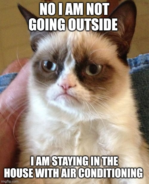 Its so hot outside rn | NO I AM NOT GOING OUTSIDE; I AM STAYING IN THE HOUSE WITH AIR CONDITIONING | image tagged in memes,grumpy cat | made w/ Imgflip meme maker