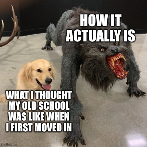 dog vs werewolf | HOW IT ACTUALLY IS; WHAT I THOUGHT MY OLD SCHOOL WAS LIKE WHEN I FIRST MOVED IN | image tagged in dog vs werewolf | made w/ Imgflip meme maker