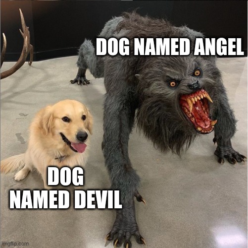 dog vs werewolf | DOG NAMED ANGEL; DOG NAMED DEVIL | image tagged in dog vs werewolf | made w/ Imgflip meme maker