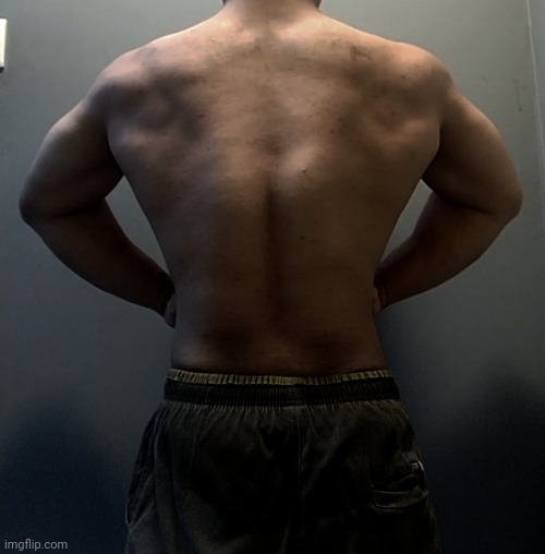 turtle shell in progress | made w/ Imgflip meme maker