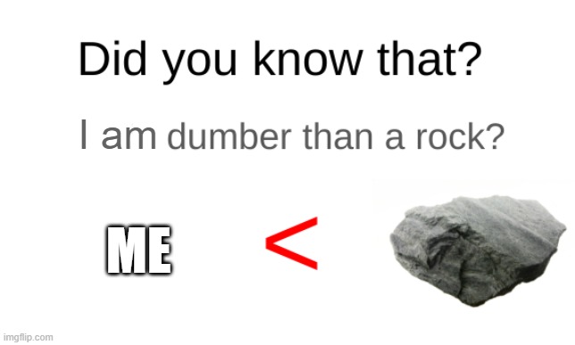 That's true! | I am; ME | image tagged in did you know that blank is dumber than a rock | made w/ Imgflip meme maker