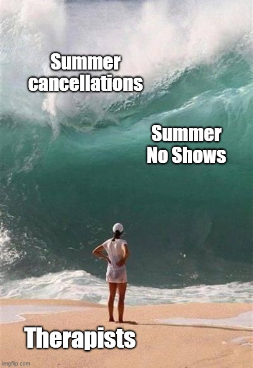 Summer therapists | Summer cancellations; Summer No Shows; Therapists | image tagged in wave,work,therapist | made w/ Imgflip meme maker