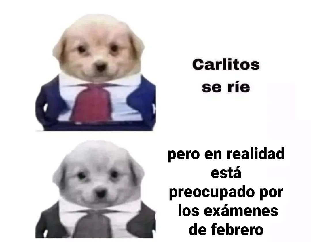 Carlitos perrito con traje Blank Meme Template