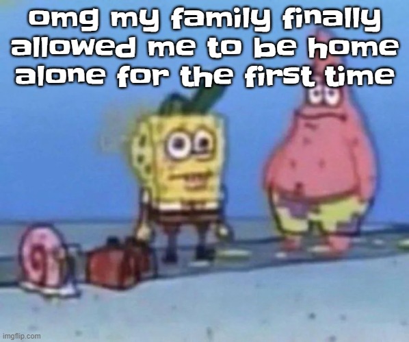 sponge and pat | omg my family finally allowed me to be home alone for the first time | image tagged in sponge and pat | made w/ Imgflip meme maker