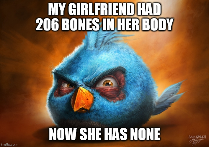 angry birds blue | MY GIRLFRIEND HAD 206 BONES IN HER BODY; NOW SHE HAS NONE | image tagged in angry birds blue | made w/ Imgflip meme maker